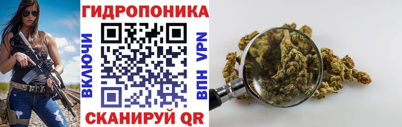 Виды наркоты Оха Марихуана  Псилоцибиновые грибы  COCAIN  ГАШ  Меф 