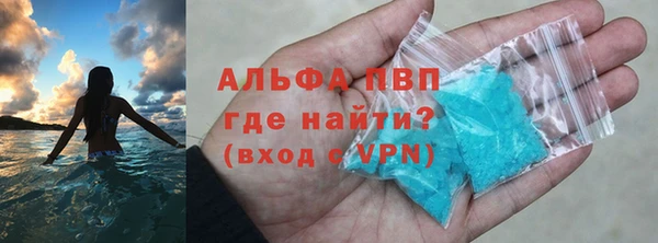 стаф Медногорск