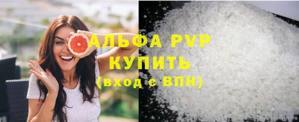 стаф Медногорск