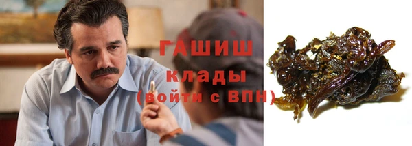 стаф Медногорск