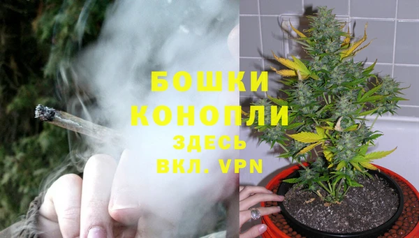 каннабис Сясьстрой