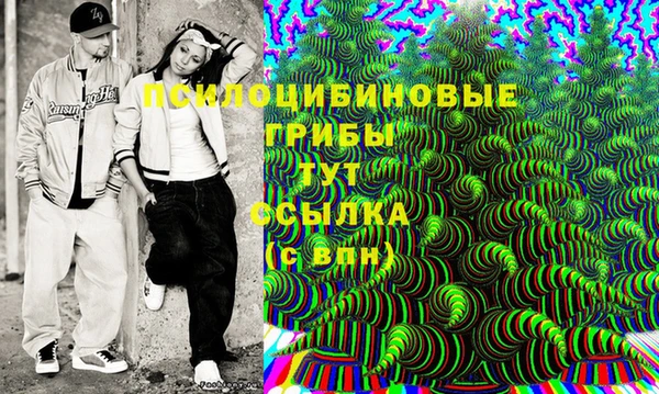 гашик Медвежьегорск