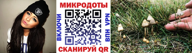 Галлюциногенные грибы Psilocybine cubensis  Оха 